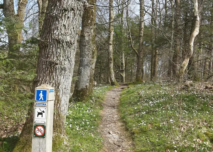 Lägenhet Hyggeligt Hus Pa Landet